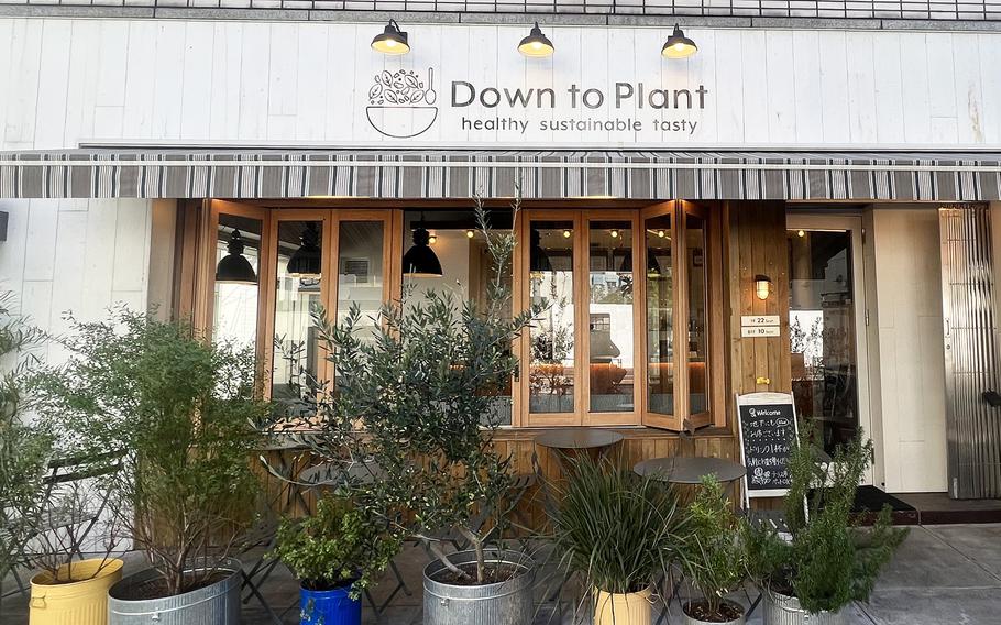 At Down to Plant in Tokyo, vegans will find a cornucopia of salads, from the ethnic curry topped with green curry and avocado to the Korean spicy chicken made with plant-based yangnyeom chicken and rice.
