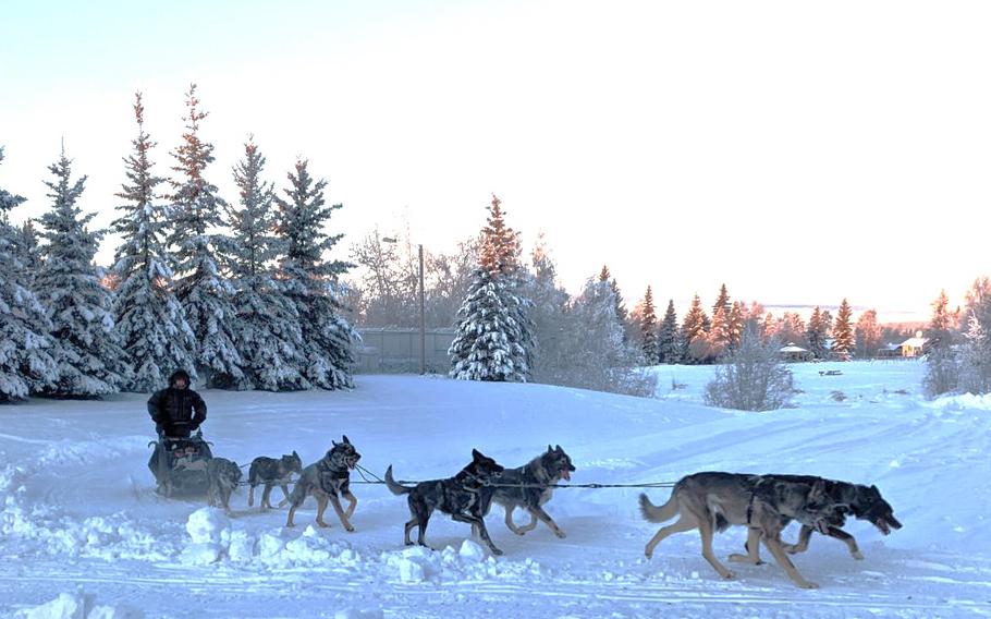 Col. Mike Arnett, the top medical officer at Fort Wainwright, goes out for some dog mushing near Fairbanks, Alaska.