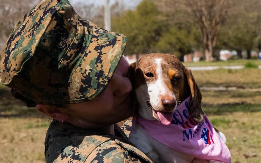 U.S. Marines and sailors with Lakota Company, Battalion Landing Team 1/6, 26th Marine Expeditionary Unit (Special Operations Capable) (MEU(SOC)) returned home after completing an eight-month deployment embarked aboard the Bataan Amphibious Ready Group.