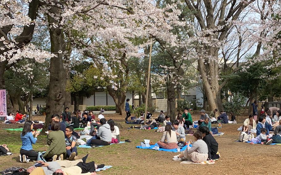 People relax under the cherry blossoms at Showa Memorial Park in Tachikawa, near Yokota Air Base in western Tokyo, March 22, 2020.