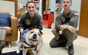 Petty Officer 3rd Class Julia Walden, left, and Seaman Mckade Kerr pet Bentley, a therapy dog who visits the USO center at Naval Support Activity Naples in Italy on Thursdays as part of the organization's canine therapy program. Their visit came on Sept. 28, 2023.