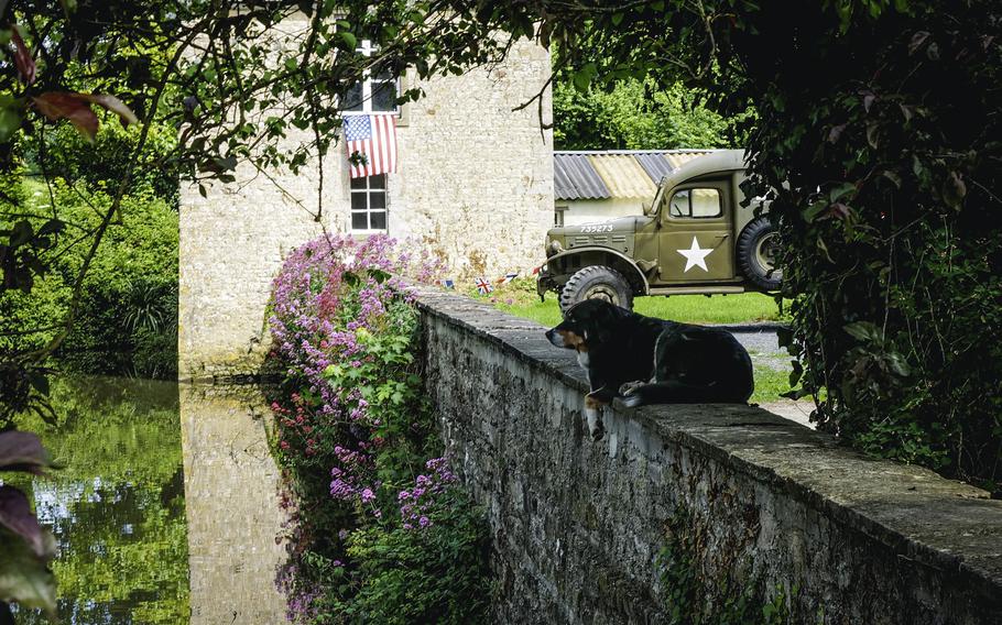 The Hamel family dog rests in the shade by the chateau's moat at Chateau Vouilly, Normandy, France. The historic chateau has been maintained by the Hamel family for generations. 