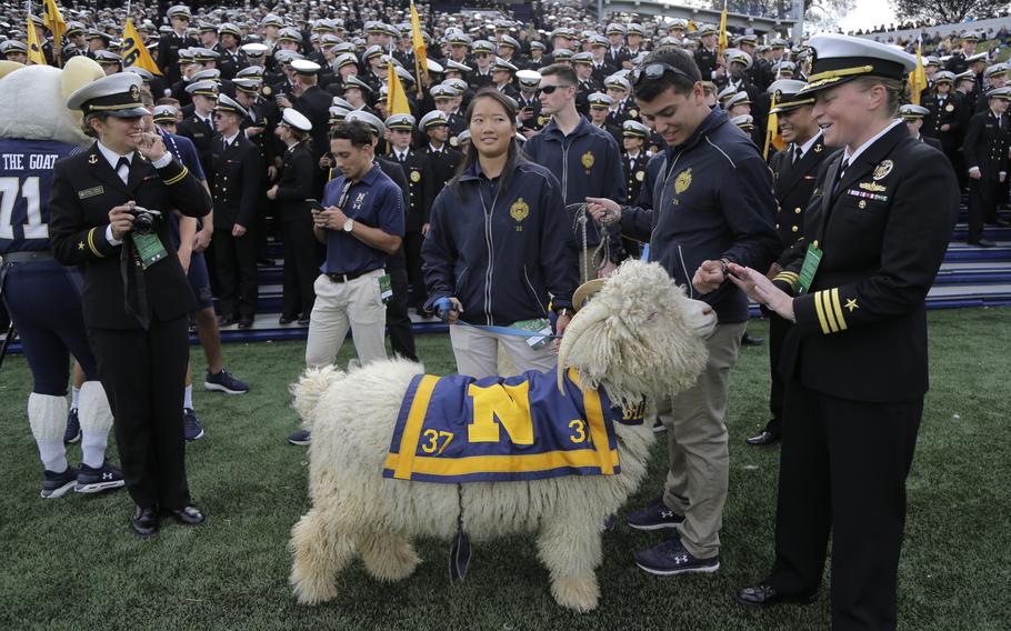 Bill The Goat XXXVII stands with handlers on the sideline during an Oct. 19, 2019, football game in Annapolis.