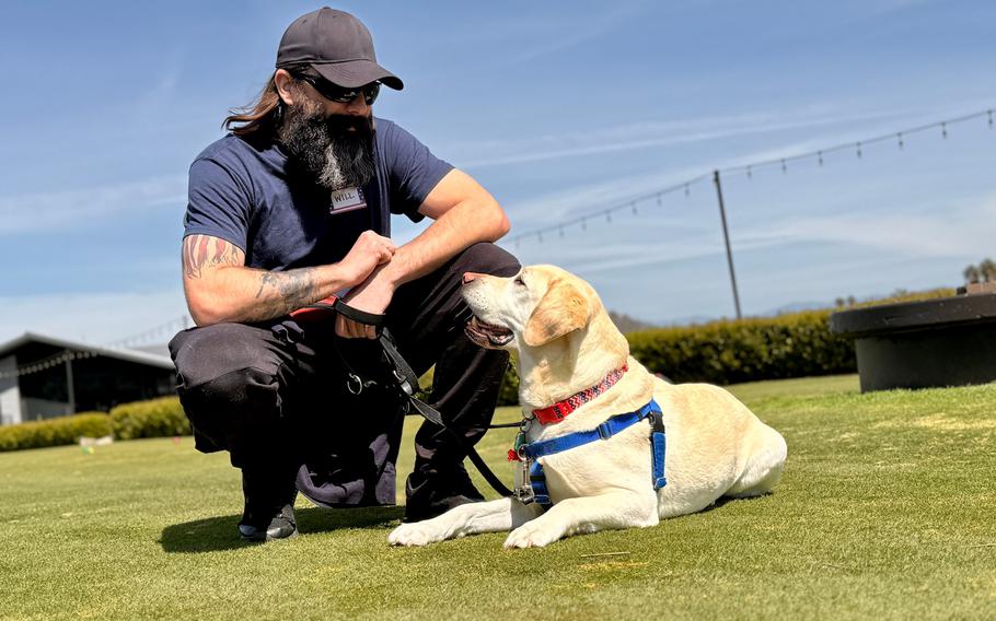 A man kneeling down looking at a dog