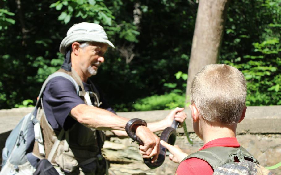 In this undated photo, William ‘Marty’ Martin shows a snake to a child attending a herpetology camp at Bull Run Mountains Conservancy in Broad Run, Va. near Washington, D.C.