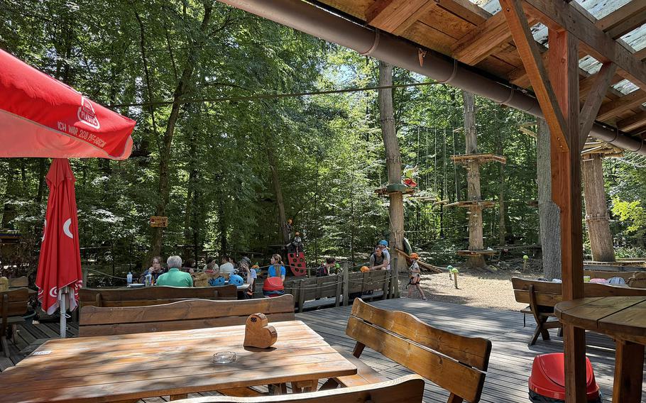 People sit on a deck in the shade of forest trees.
