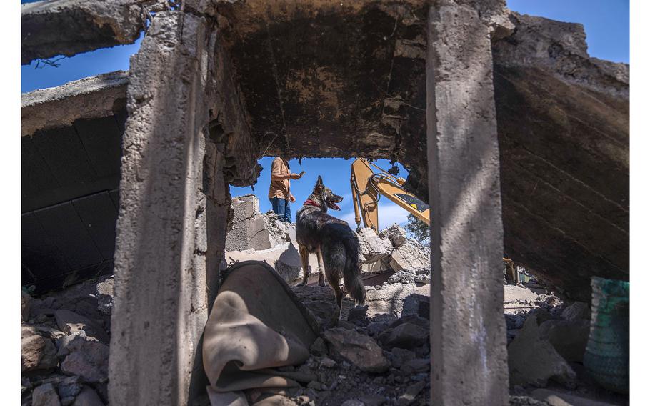 People and dogs dig through the rubble of a home that was damaged by an earthquake, in the village of Tafeghaghte, near Marrakech, Morocco, on Monday, Sept. 11, 2023. 