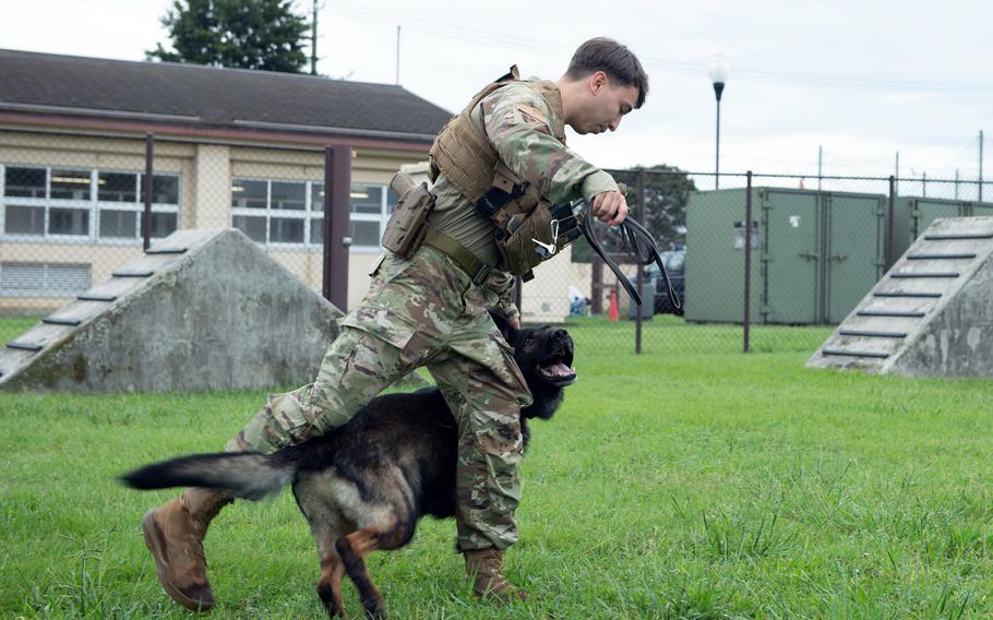 Air Force Staff Sgt. Bailey Hodgson trains with Riko, a military working dog, at Yokota Air Base, Japan, Sept. 22, 2023.