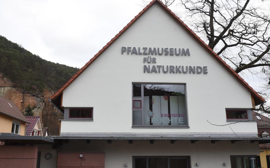 The Palatinate Museum of Natural History in Bad Duerkheim, Germany, has exhibits about the geology, flora and fauna and natural ecological relationships found in the Pfalz region.