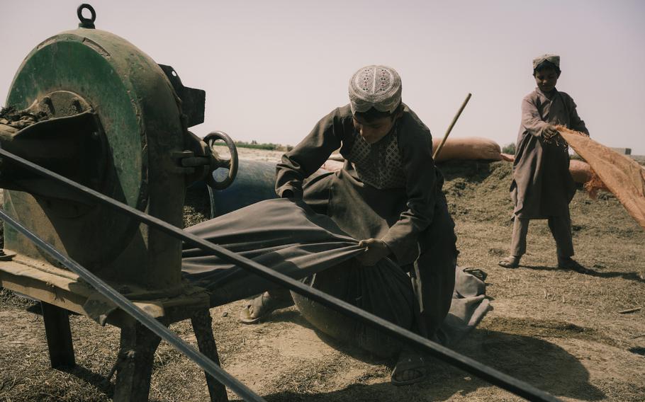 Children and workers stand around a machine used to grind the ephedra plant into powder in Farah province, Afghanistan, on March 19.