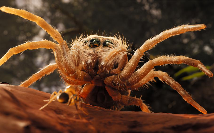 An ant challenges a spider in Empire of the Ants, an upcoming real-time strategy game. 