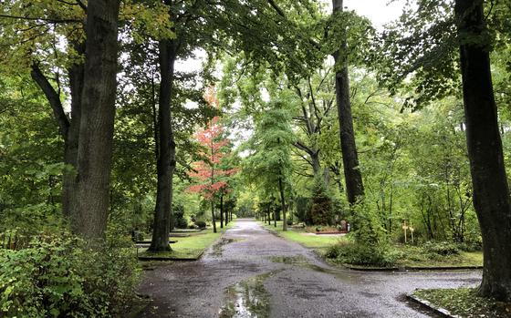 Beautiful tree-lined paths cross throughout Hauptfriedhof Kaiserslautern. The cemetery is celebrated as a conservation area with at least 70 bird nesting boxes installed on trees on the grounds.