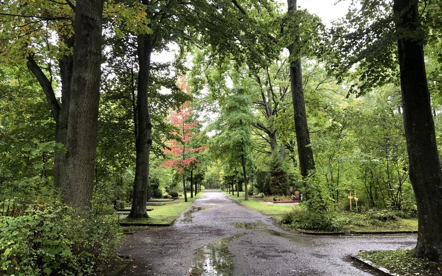 Beautiful tree-lined paths cross throughout Hauptfriedhof Kaiserslautern. The cemetery is celebrated as a conservation area with at least 70 bird nesting boxes installed on trees on the grounds.