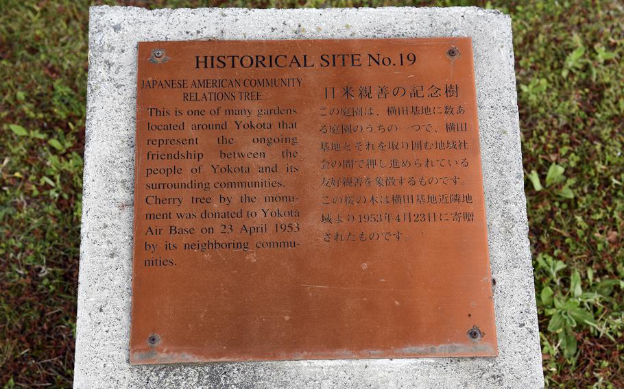 The Japanese American Community Relations Tree is the oldest tree planted by the U.S. military at Yokota Air Base, Japan, according to 374th Airlift Wing historian Lesleigh Jones.