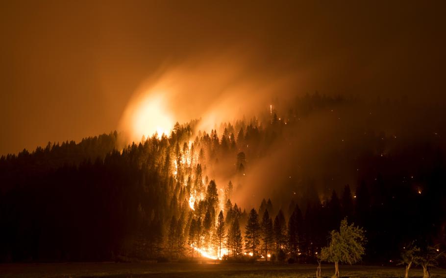 Flames consume trees during the Dixie Fire in Genesee, Calif., on Aug. 21, 2021. 