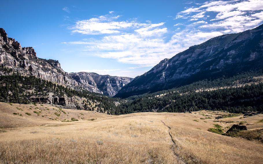 Meadow views above Tongue River Canyon. 