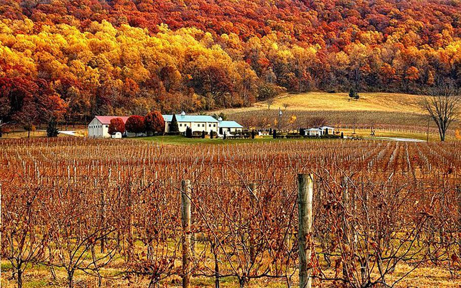 Breaux Vineyards in Purcellville, Va., has more than 100 acres of grapes under vine and long vistas of the Blue Ridge Mountains from its tasting room, patio and terraces. 