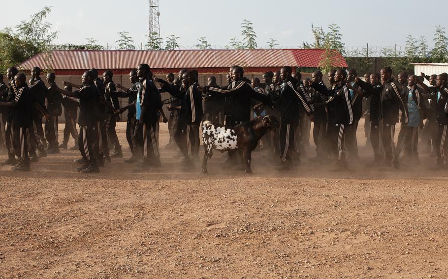 Recruits are drilled in formation marching at Baledogle. Such training tightens unit cohesion and coordination. 