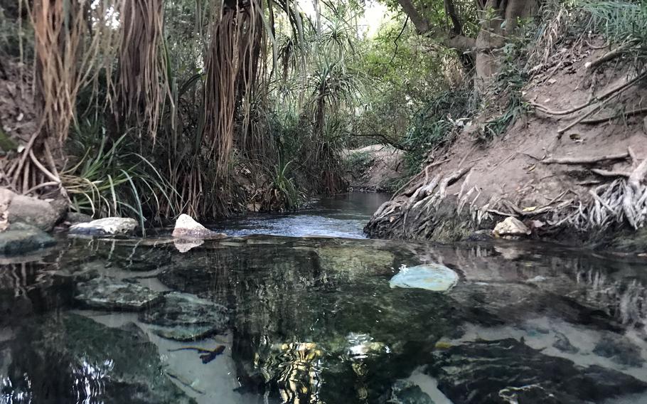 The water at Katherine Hot Springs in Australia's Northern Territory is crystal clear with no sign of crocodiles.