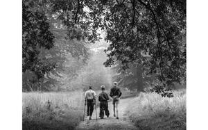 Stars and Stripes
Langen, Germany, August, 1957: Three boys walk down a forest path at Schloss Wolfsgarten, the home of Prince Ludwig and Princess Margaret of Hesse. The boys were among 20 handicapped children from around Germany who were spending three weeks at the estate in a program that was assisted by seven American high school students from the Frankfurt area serving as Junior Red Cross aides.