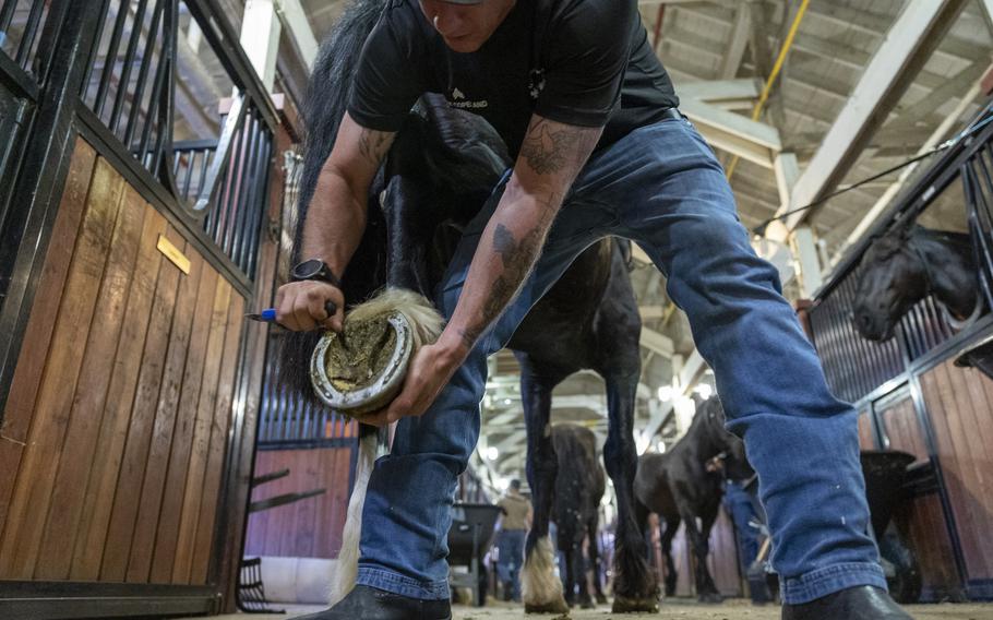 A soldier holds up a horse’s foot to clean the horseshoe.