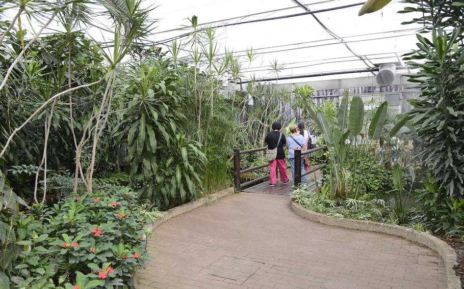 Visitors to the House of the Butterflies in Bordano, Italy, make their way along paths through three separate environments based on where the insects normally dwell: Africa, Asia and the Americas. 