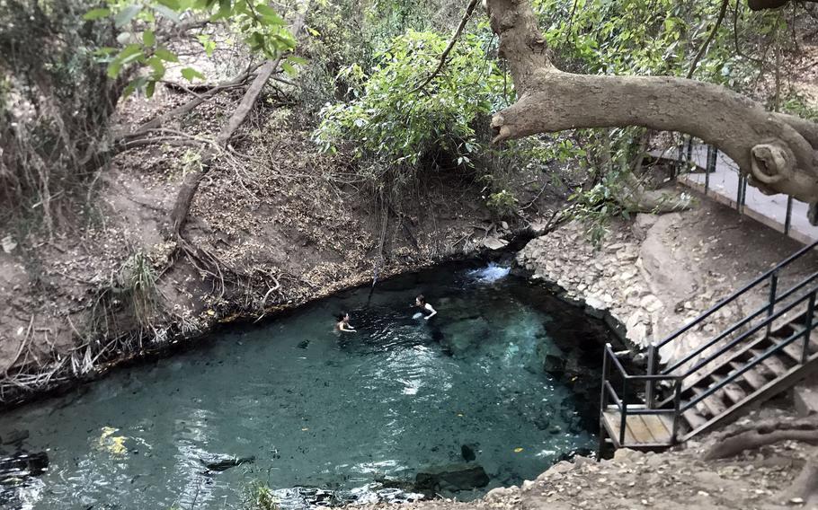 The largest pool at Katherine Hot Springs in Australia's Northern Territory is about 30 feet across and, perhaps 5 feet at its deepest point. 