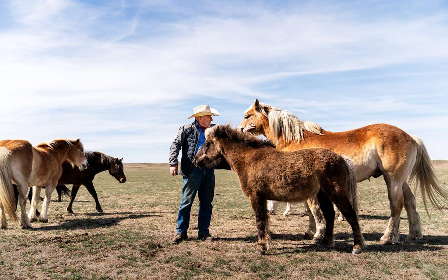 Ed Butcher pets one of his horses in a field miles from the Minuteman III launch facility located on his ranch in Fergus County, Mont., on April 8, 2022. 