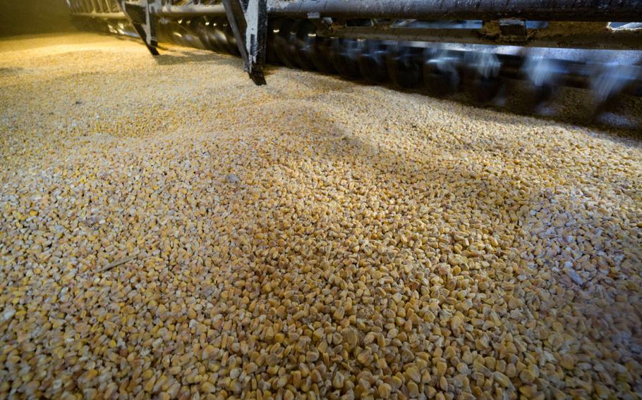 Corn grain sits inside a storage silo before being moved on a conveyor belt for loading onto a bulk carrier vessel at the Illichivsk Grain Terminal, operated by Glencore, at Illichivsk port in Odesa, Ukraine.