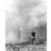 South Vietnam, March, 1967: The conductor of this symphony of dust is actually helping guide an 11th Aviation Battalion helicopter as it lands troops in War Zone C, near the Cambodian border. The dust was kicked up by the copter's rotor blades.

Looking for Stars and Stripes’ coverage of the Vietnam War? Subscribe to Stars and Stripes’ historic newspaper archive! We have digitized our 1948-1999 European and Pacific editions, as well as several of our WWII editions and made them available online through https://starsandstripes.newspaperarchive.com/

META TAGS: Vietnam War; Cambodia; combat; 
