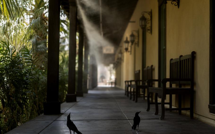 Birds searching for water and shade stand under continuous misting machines at The Ranch at Death Valley. 