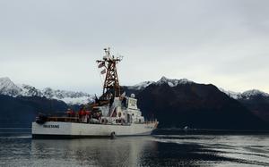 Mustang underway with snow-capped mountains in the background.