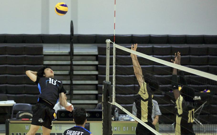 Osan's Dash DeSilva prepares to spike against Humphreys during Saturday's DODEA-Korea boys volleyball match. The Cougars won in five sets.