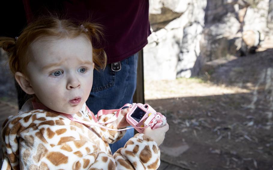 Valley Farnsworth, 2, watches and photographs the giant pandas at Zoo Atlanta. 