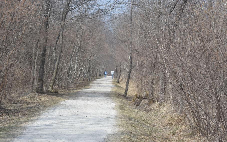 The main path through the "naturalistic oasis" bordering the eastern side of Lago Santa Croce in Italy is easy to follow and is home to bicyclists and strollers as well as walkers. On a recent two-hour visit on a weekday, fewer than two dozen people strolled or biked along the pathway.