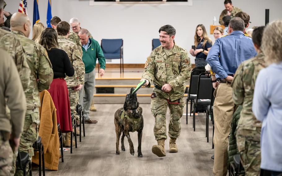 A dog and its handler walk down an aisle during a ceremony