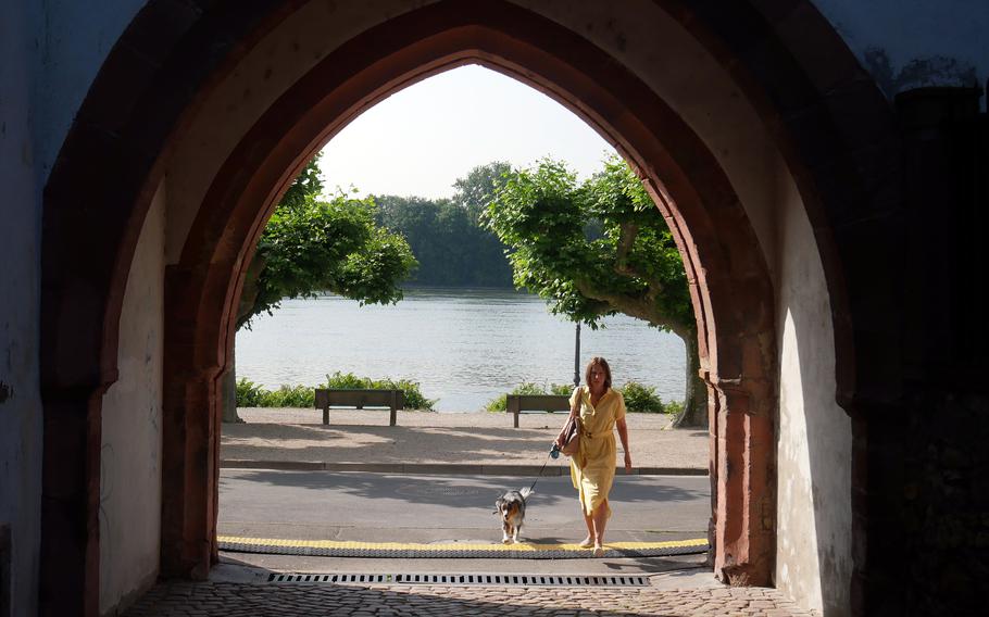 A person and her dog walk through a medieval gate.