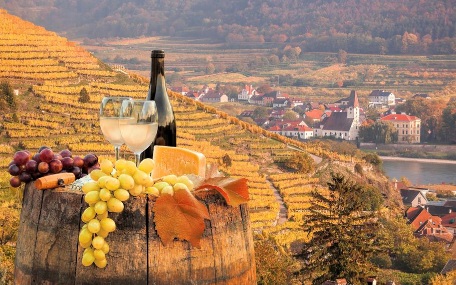 Austria’s Wachau Valley is an ideal region to sample Rieslings and Grüner Veltliners.