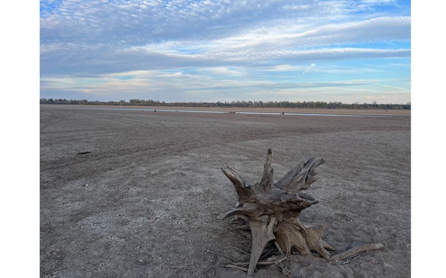 A piece of driftwood sits on a desiccated stretch of the Mississippi River's bottom near Portageville, Mo. 
