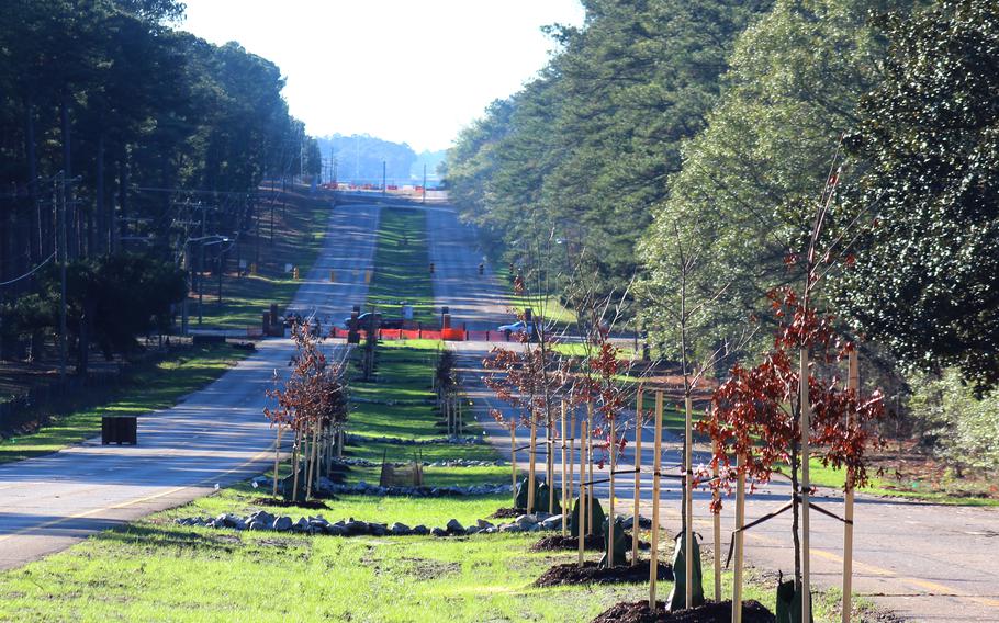 Trees have been planted in the old Fort Bragg median as part of the new Liberty Park, on Jan 4.