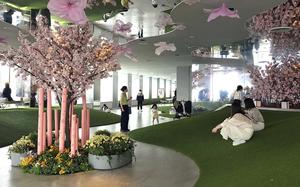 The Sakura Festival at Tenbou Park in Tokyo features faux cherry blossoms suspended from real branches, offering the look of hanami without the pollen.