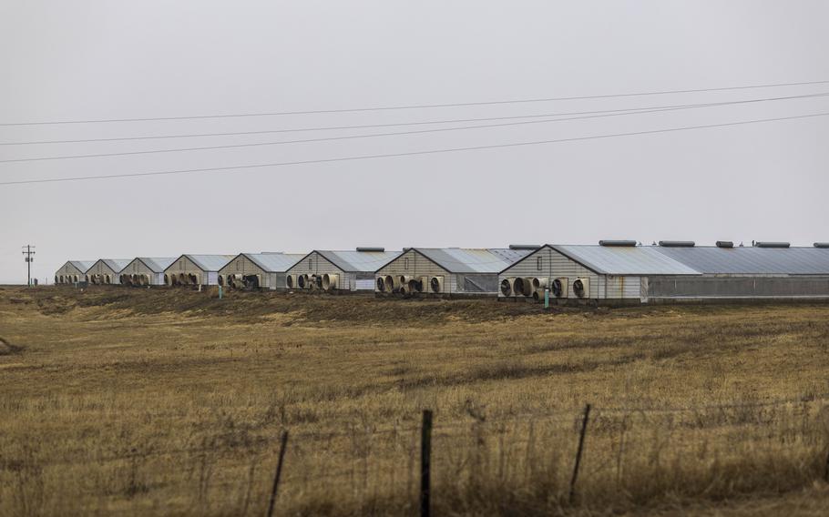 A hog farm in Unionville, Mo., owned by Smithfield Foods, which was acquired in 2013 by a Chinese company. 