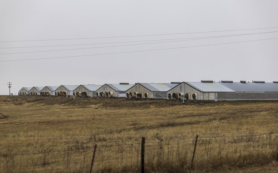 A hog farm in Unionville, Mo., owned by Smithfield Foods, which was acquired in 2013 by a Chinese company. 