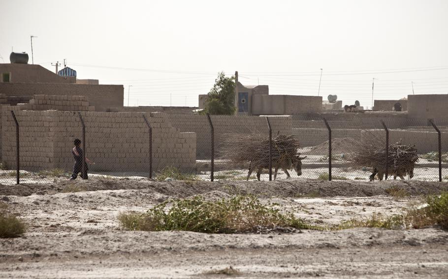 A man walks with two donkeys outside the Zaranj Airfield, Nimruz province, Afghanistan. The Taliban overran Zaranj in western Afghanistan Aug. 6, 2021, in the first capture of a provincial capital since the U.S. began leaving the country this year, local officials and the militant group said. 