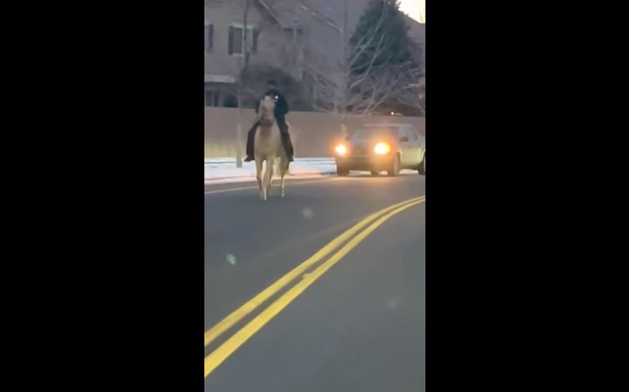 A horse running free through a Colorado neighborhood was quickly brought under control when a sheriff’s deputy, an Army veteran, hopped on its back and rode the animal nearly three miles back home through city traffic.