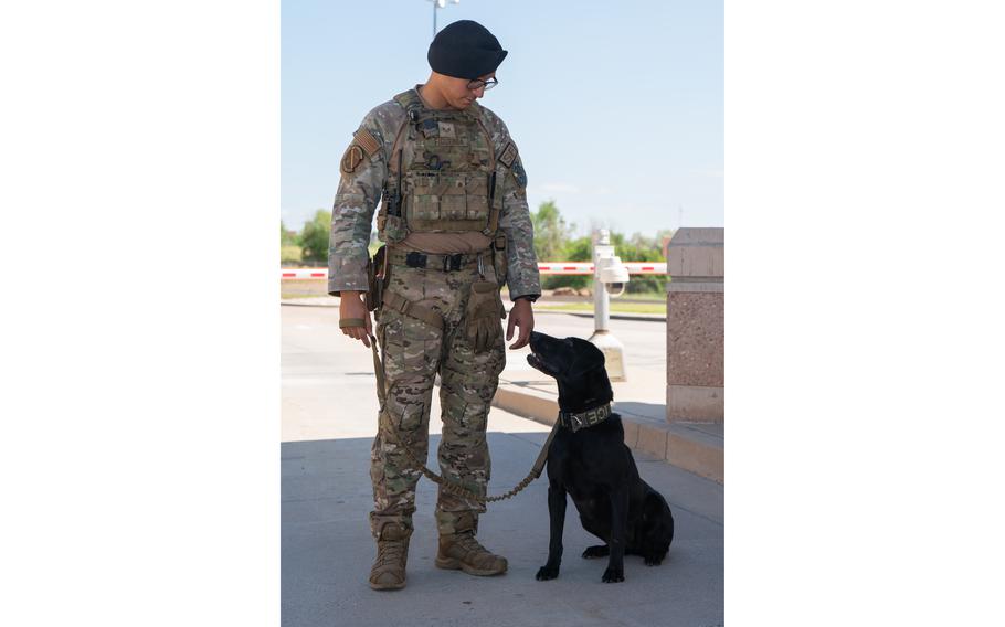 A man in uniform stands next to a black Labrador retriever, who he is looking down at.