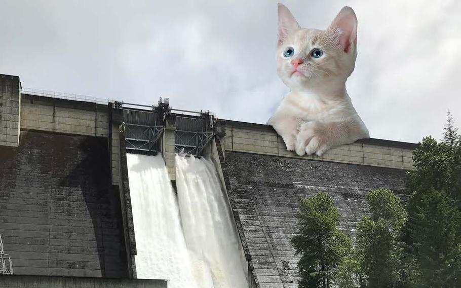 A cat sits atop Green Peter Dam near Sweet Home, Ore., in this image from the 2023 calendar produced by the U.S. Army Corps of Engineers branch in Portland, Ore.