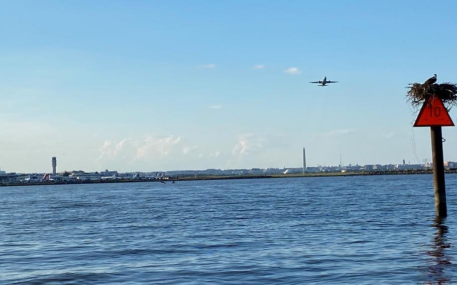 A plane departs from Reagan National Airport in Arlington, Va., on June 25, 2023, shortly after a ground stop was lifted. FAA officials said an overheated power cable caused the ground stop.