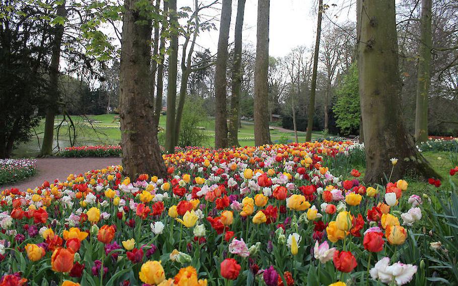 The floral exhibition known as Floralia Brussels takes place in Groot-Bijgaarden, Belgium, through May 4.
