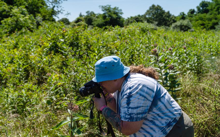 Jennifer Crews-Carey, an administrator of the Facebook page called Save Greenbury Point, photographs insects at the Greenbury Point Conservation Area in Maryland on July 11, 2022. 
